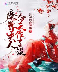 魔尊夫人沉迷写同人