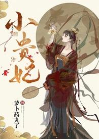 小贵妃(h 古言 1v2) 作者
