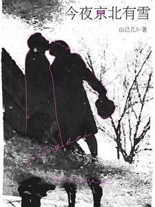 今夜北方飘着雪简谱