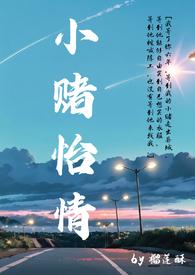 小赌怡情意思打一肖
