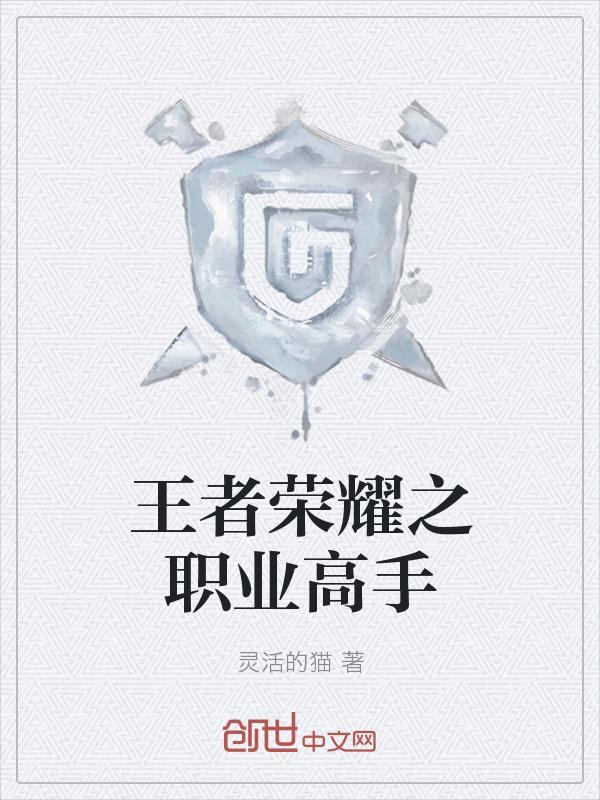 王者荣耀之高手来袭 _小当家