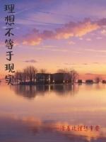 理想不等于现实二者的矛盾冲突属于