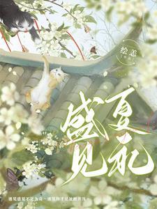 盛夏 dearfairy