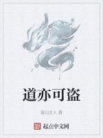道亦有盗什么意思