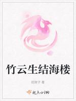 云生结海楼的生是什么意思