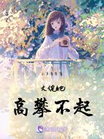 高攀不起大佬是我的晋江