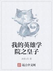 我的英雄学院哪里还能看