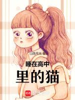 睡在高中里的猫咪