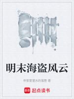 明末海盗排行