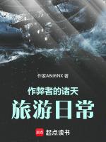 作弊类
