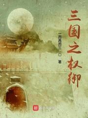 三国之权御天下攻略
