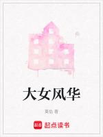 大明风华电视剧