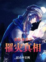 全职法师之次