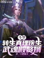 武魂殿赘婿解说