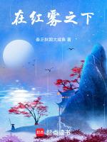 红雾下面出高货