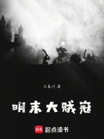 明末大贼寇哪里可以看