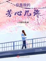 你是我的芳草是什么歌