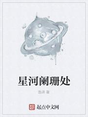 星夜阑珊是什么意思