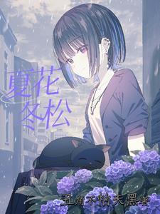 夏雪冬花 mv