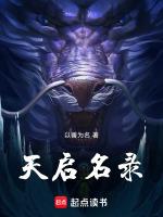 天启 x