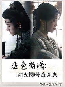 夜色阑珊灯火璀璨美文