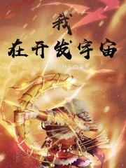 我在开发宇宙的