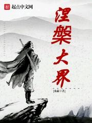 涅槃下一个境界