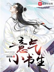 意气书生什么意思