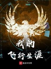 我的飞行生涯元元