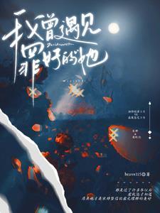 我曾遇见那男孩大结局