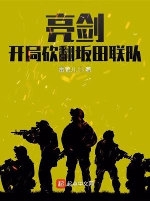 亮剑开局攻打平安县城