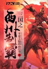 三国之西州制霸无弹窗