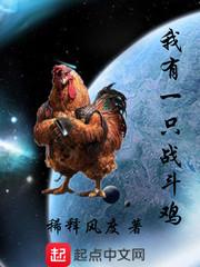 一只战斗鸡读后感
