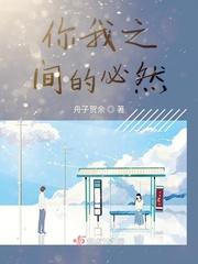 你我之间孤羽