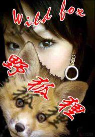 野狐狸lgsvu
