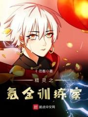精灵氪金训练师
