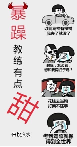 暴躁教练和他的慢半拍