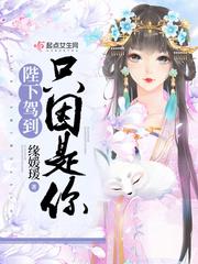 陛下驾到无限元宝修改器