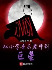 从小学教师到音乐巨星