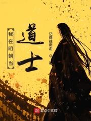明朝道士皇上