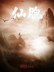 仙宝石片有什么用