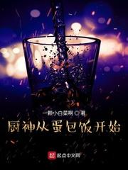 厨神从征服江莱开始卡夜阁