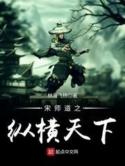 宋师道之纵横天下最新