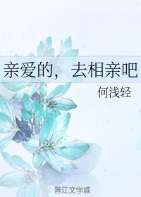 去相亲吧爸爸txt无错版