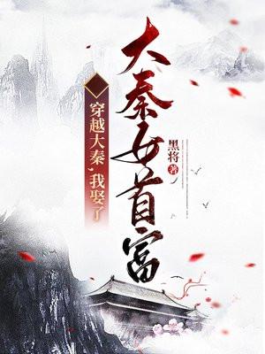 我娶了大秦女首富的