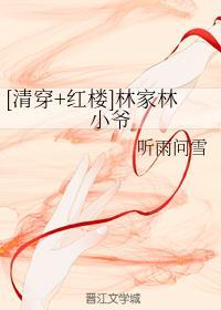 清穿之红楼林家林小