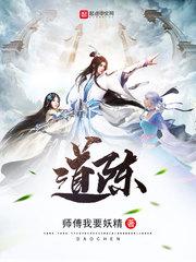 道陈宝新会陈皮