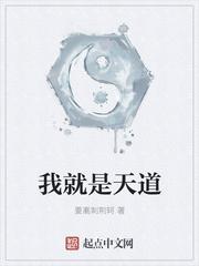 我就是天道意志