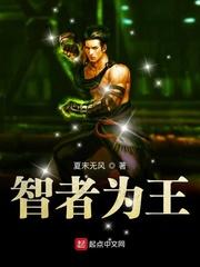 智者为王哔哩哔哩