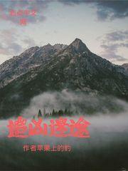 追凶谜案电视剧